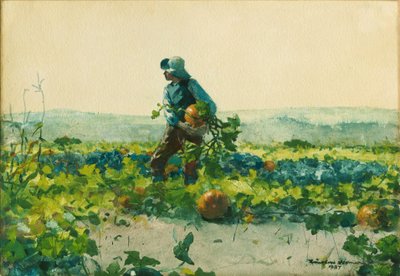 Per essere un ragazzo di campagna da Winslow Homer
